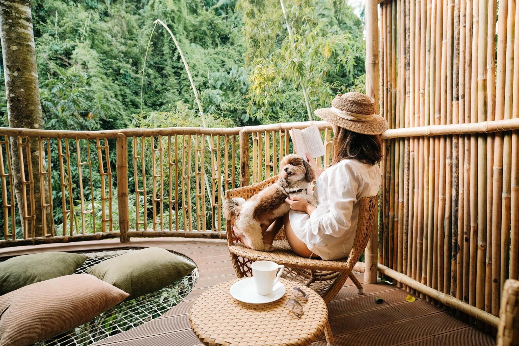 Treehouse De Valentine Villa Balamban Eksteriør bilde